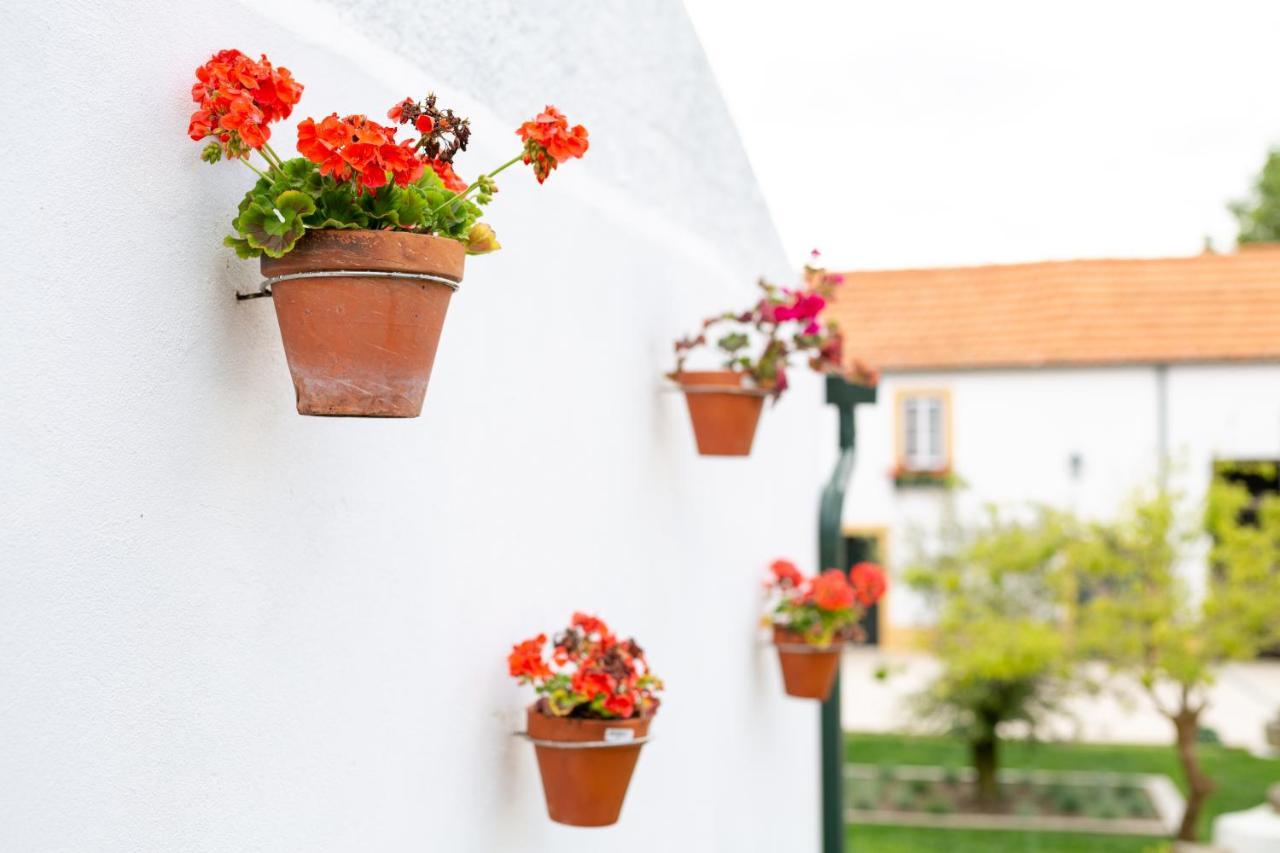Casa D'Oliveira Bed & Breakfast อาเวโร ภายนอก รูปภาพ